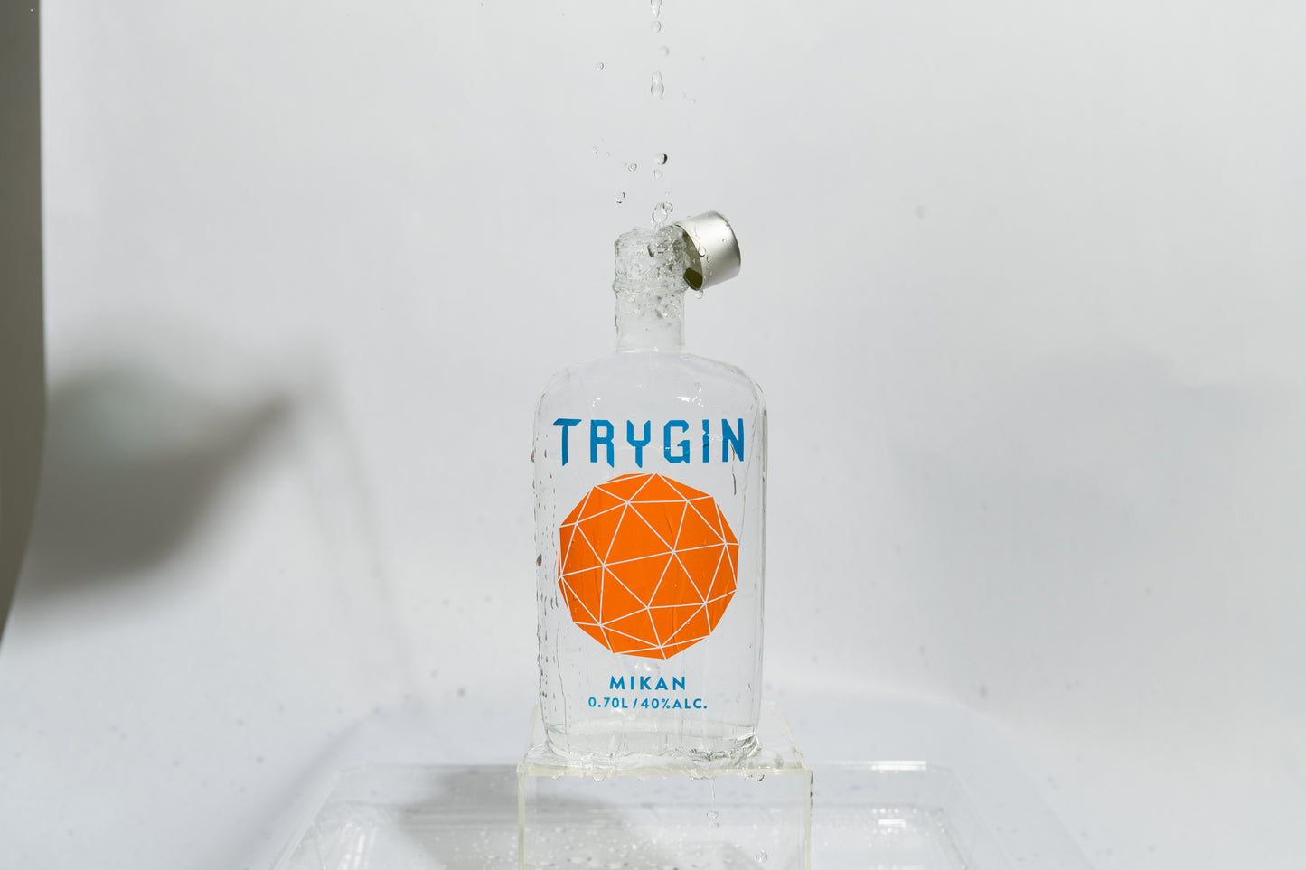 TRYGIN みかん